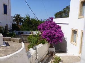 Kitheria island (Kapsali town back alley)