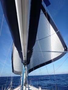 twin headsails