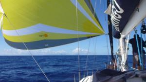 first view of St Lucia under the parasailor after 19 days at sea.