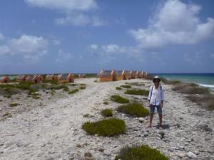 Slave huts on the coast