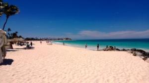 beach on low rise coast