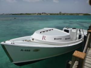 island shuttle appropriately named