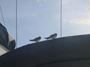 passengers en route- definitely a couple.