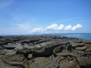 Amazing that this is what lurks under a few breaking waves only at high tide.