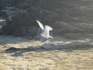 next stage of courtship!