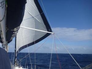 poled out headsail the worker