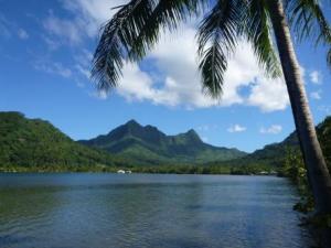 Raiatea island shore