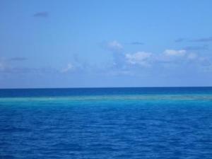 Coral fakarava on route south