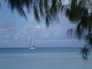 Fakarava Baringo at anchor