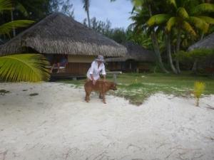 Julia and Dobby Eden hotel