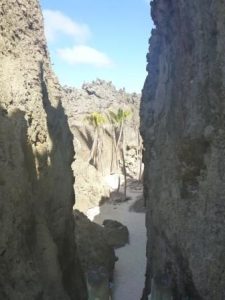 coral chasm with inland beach