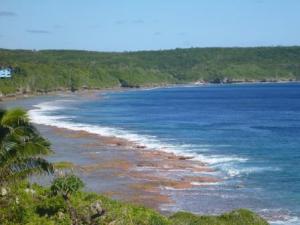 reef around Niue