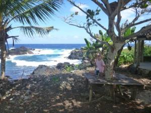 picnic site for lunch stop