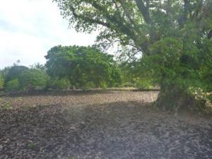 Fort de Kolonui-central meeting place
