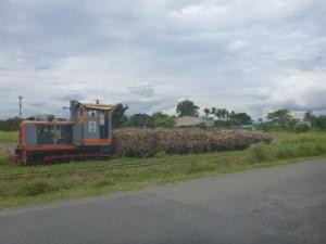 sugar cane train