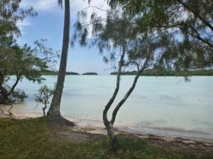 Baie de crabes north side of Ile des Pins
