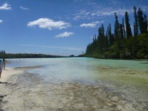 piscine naturelle- actually more beautiful than any photo