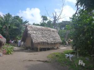 Village house Tanna