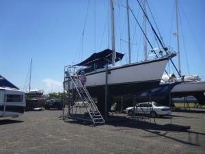 Baringo on land with a grand set of stairs provided!